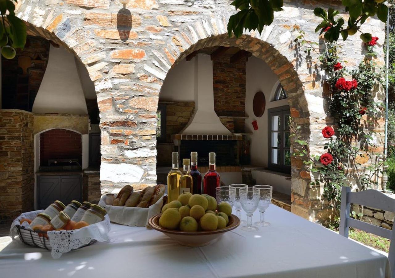 Romano Garden House - Land Tales Άγιος Ρομανός Εξωτερικό φωτογραφία