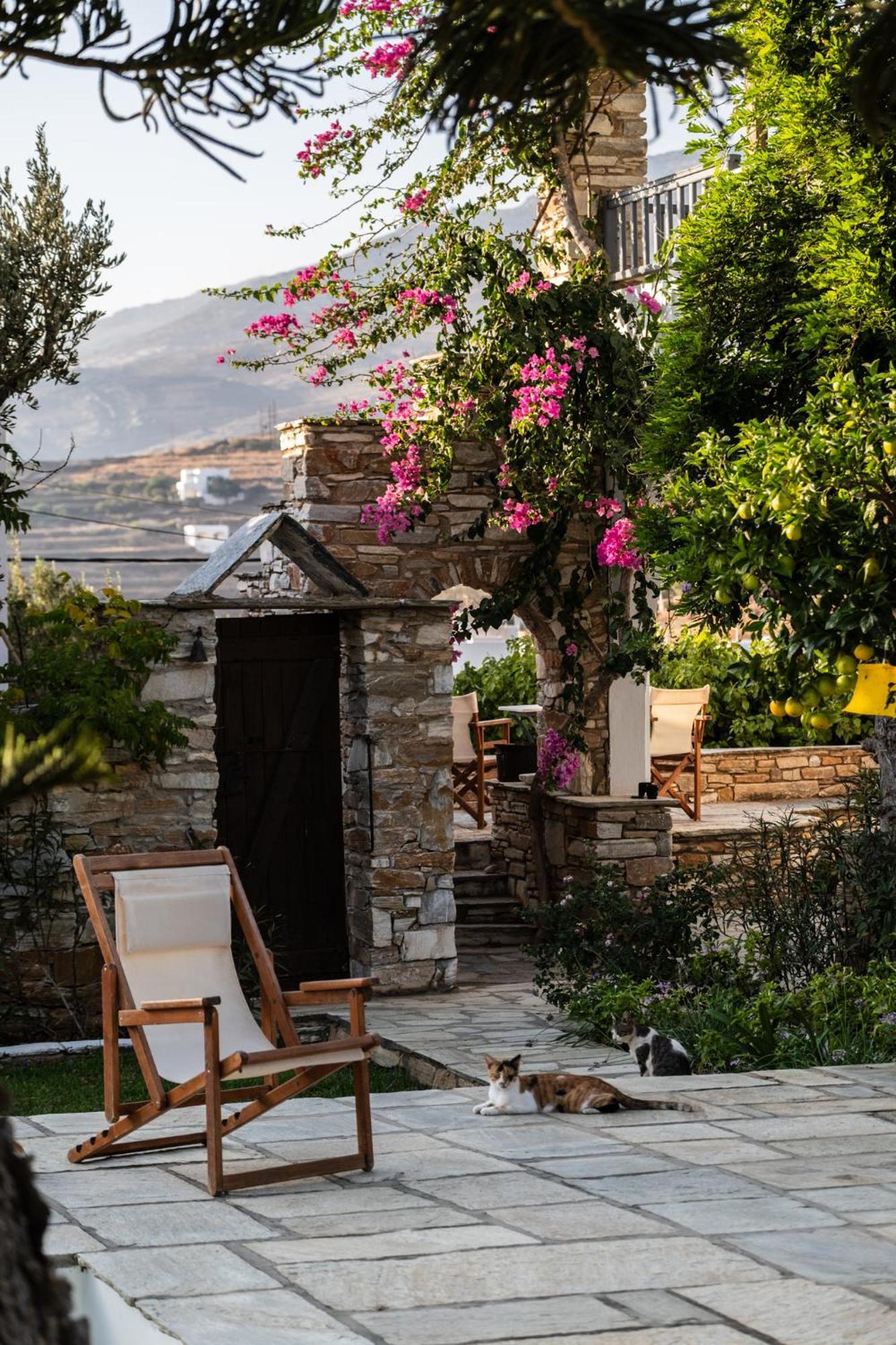 Romano Garden House - Land Tales Άγιος Ρομανός Εξωτερικό φωτογραφία