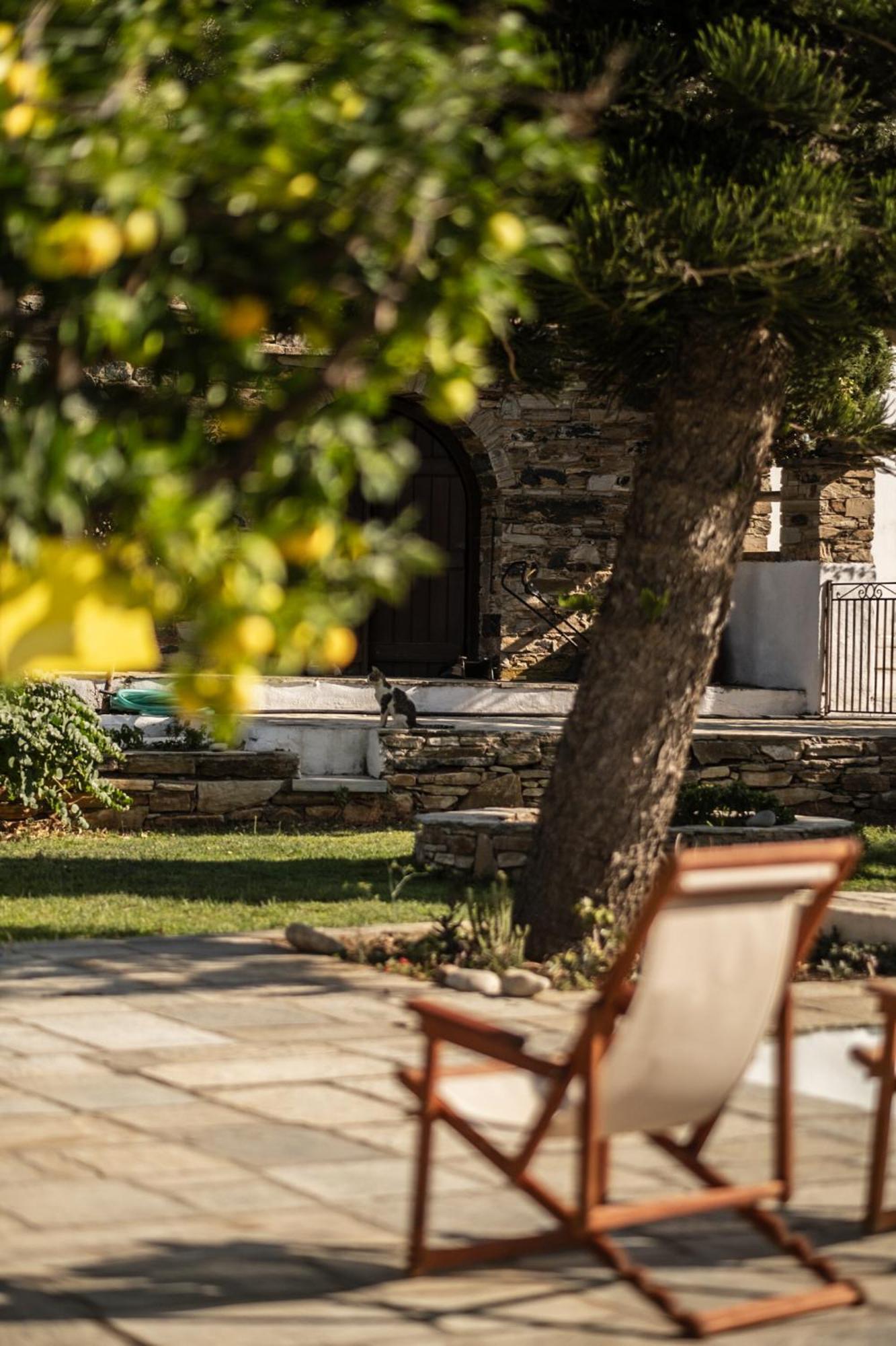 Romano Garden House - Land Tales Άγιος Ρομανός Εξωτερικό φωτογραφία