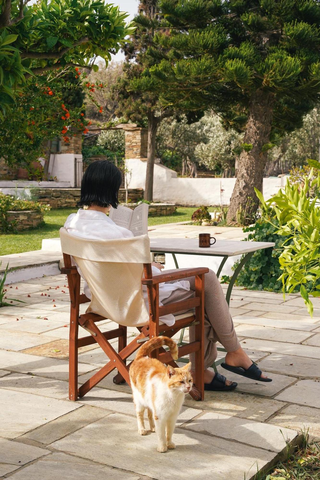Romano Garden House - Land Tales Άγιος Ρομανός Εξωτερικό φωτογραφία